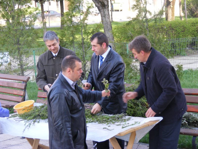 pasti2011006.jpg