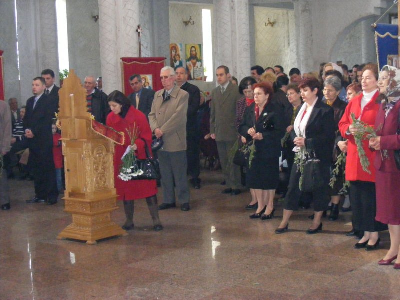 pasti2011012.jpg